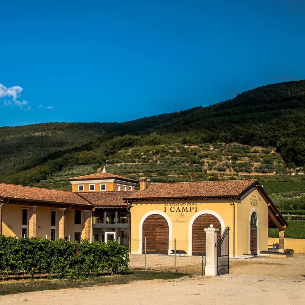 Azienda Agricola I Campi tra vigneti e colline della Val d’Illasi