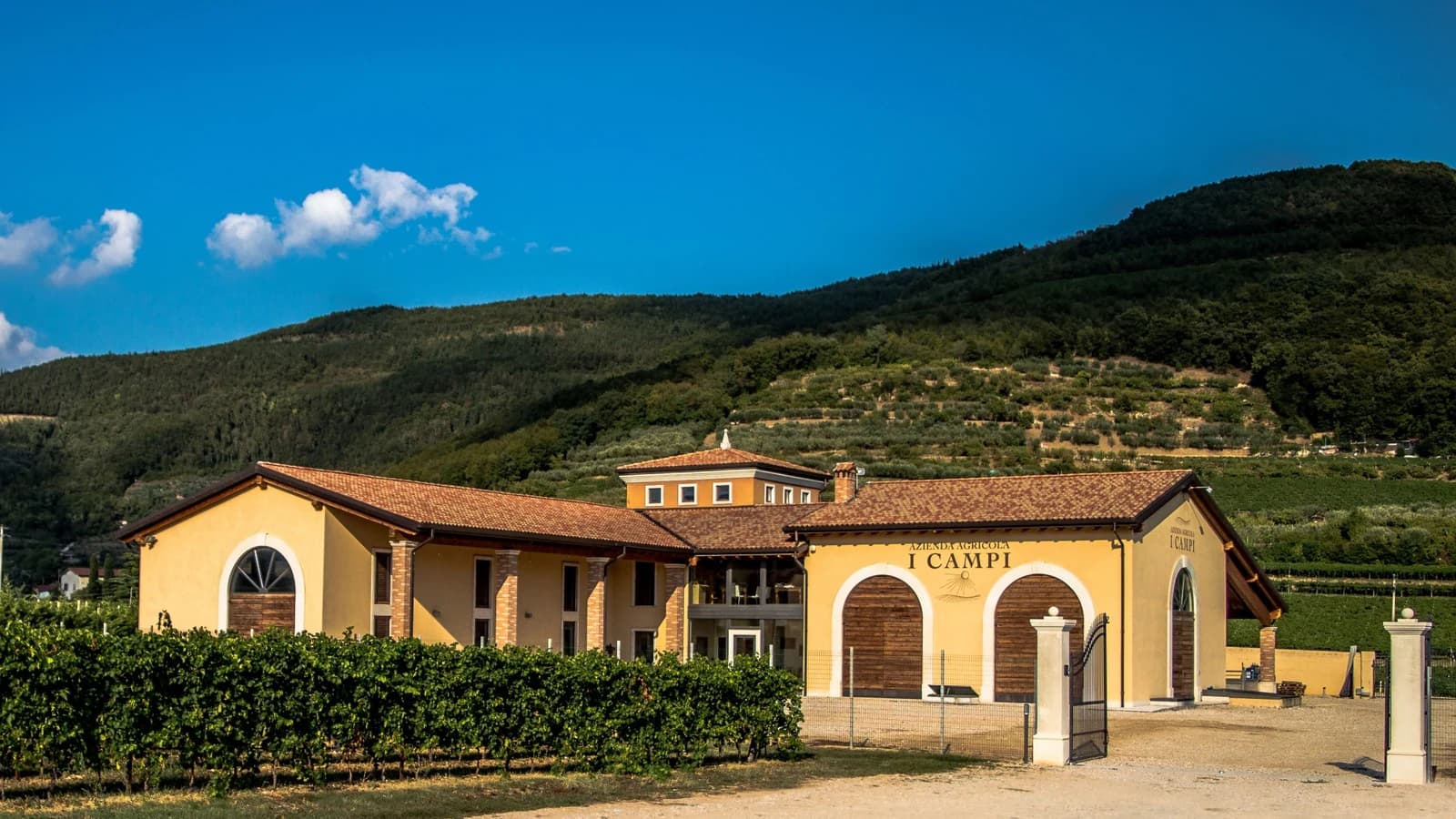 Azienda Agricola I Campi tra i vigneti della Val d’Illasi