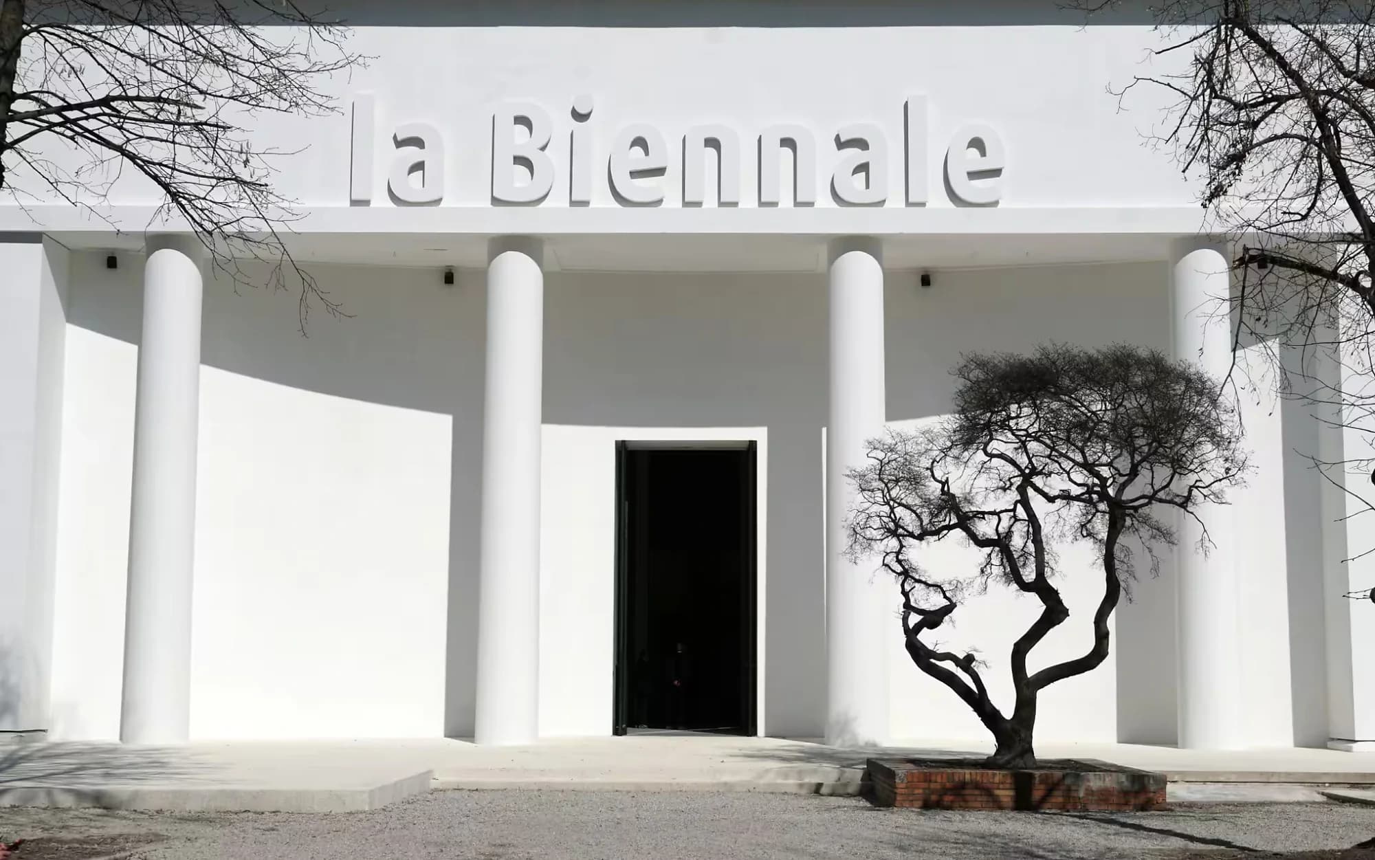 Spazi espositivi e arte contemporanea alla Biennale di Venezia