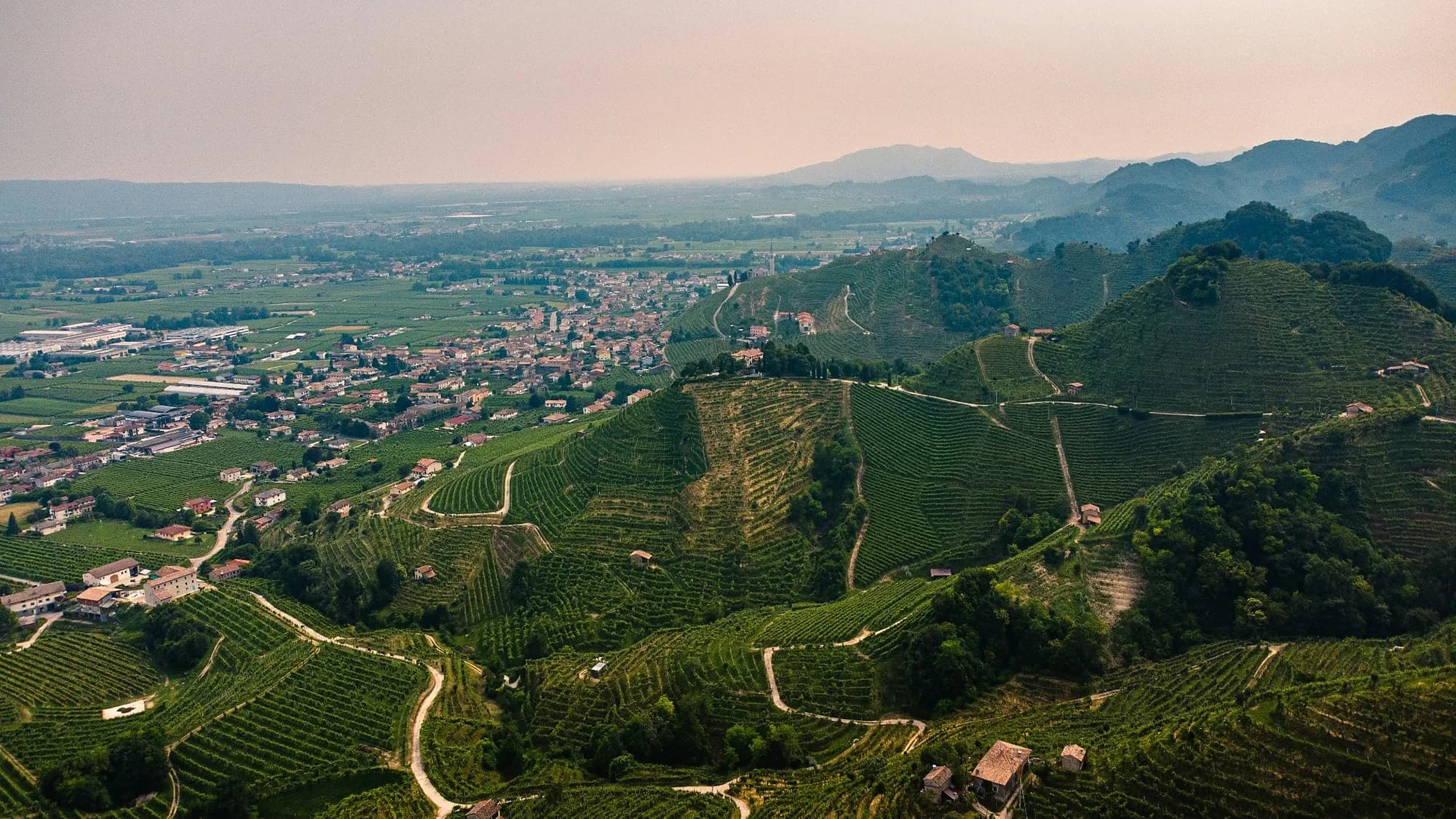 Colline del Prosecco in Veneto. Foto di Alberto Caliman su Unsplash